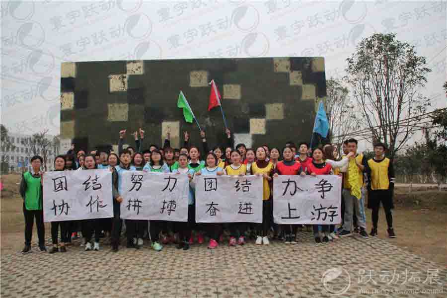 中國人壽保險(xiǎn)躍動(dòng)拓展?fàn)I