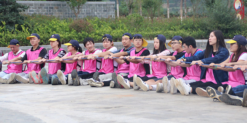 1486797919819239.jpg 動(dòng)力繩圈-(1).jpg